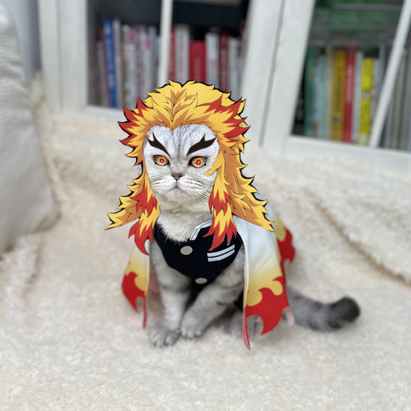 Demon Slayer Huisdier Cosplay  - Cosplay Flame Prop recensie en prijs
